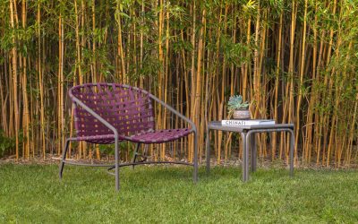 Furniture To Celebrate