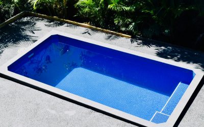 Plunge Pools With Edge